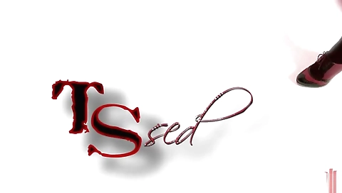 Free Shemale Fucks Girl Porn Videos - truetranny.com